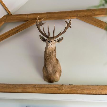 Hoeve De Zuidhoek Brugge Ngoại thất bức ảnh