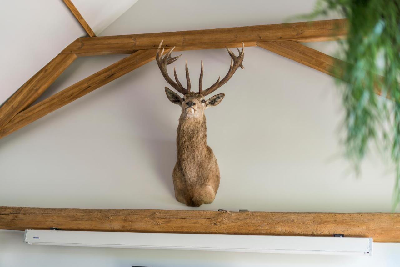 Hoeve De Zuidhoek Brugge Ngoại thất bức ảnh