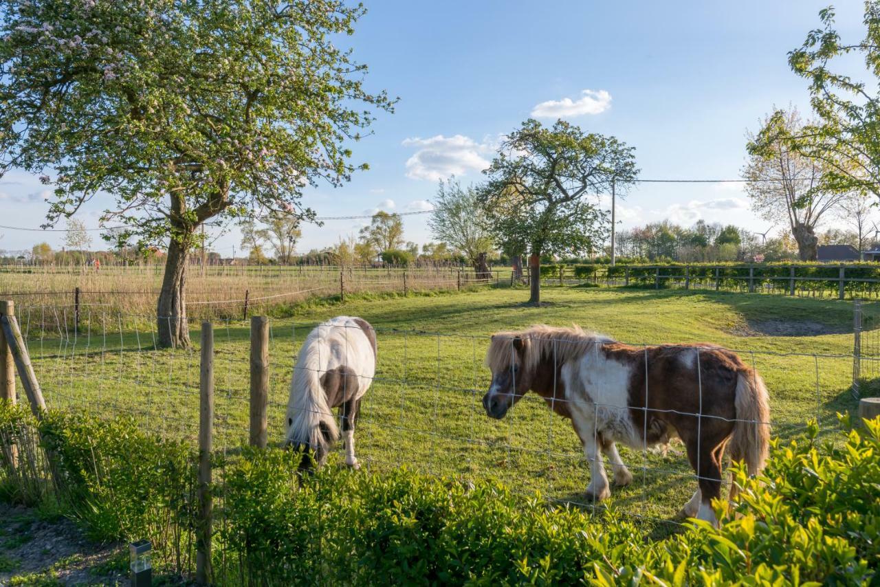 Hoeve De Zuidhoek Brugge Ngoại thất bức ảnh